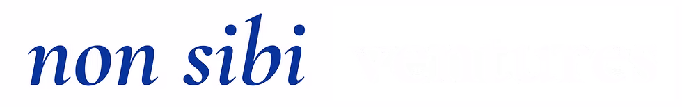 Nonsibi Ventures logo
